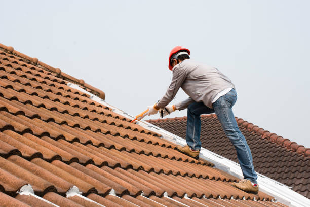 Best Skylight Installation and Repair  in North Granby, CT